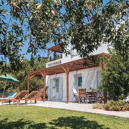 Almond Tree